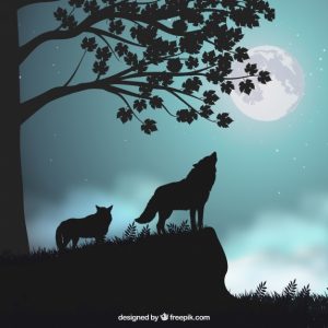 The Tale of Two Wolves